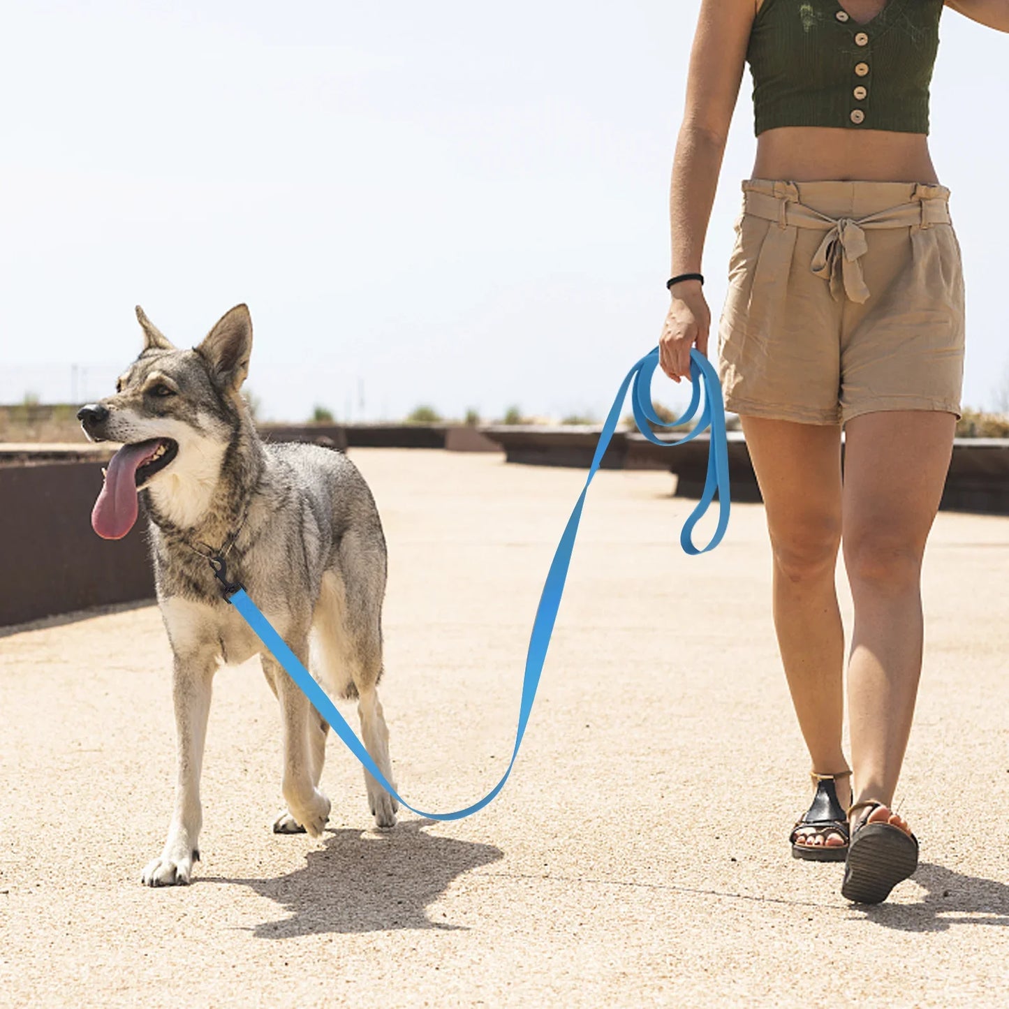 Strong Waterproof PVC Dog Leash