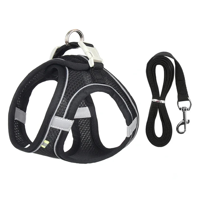 Dog Harness Set