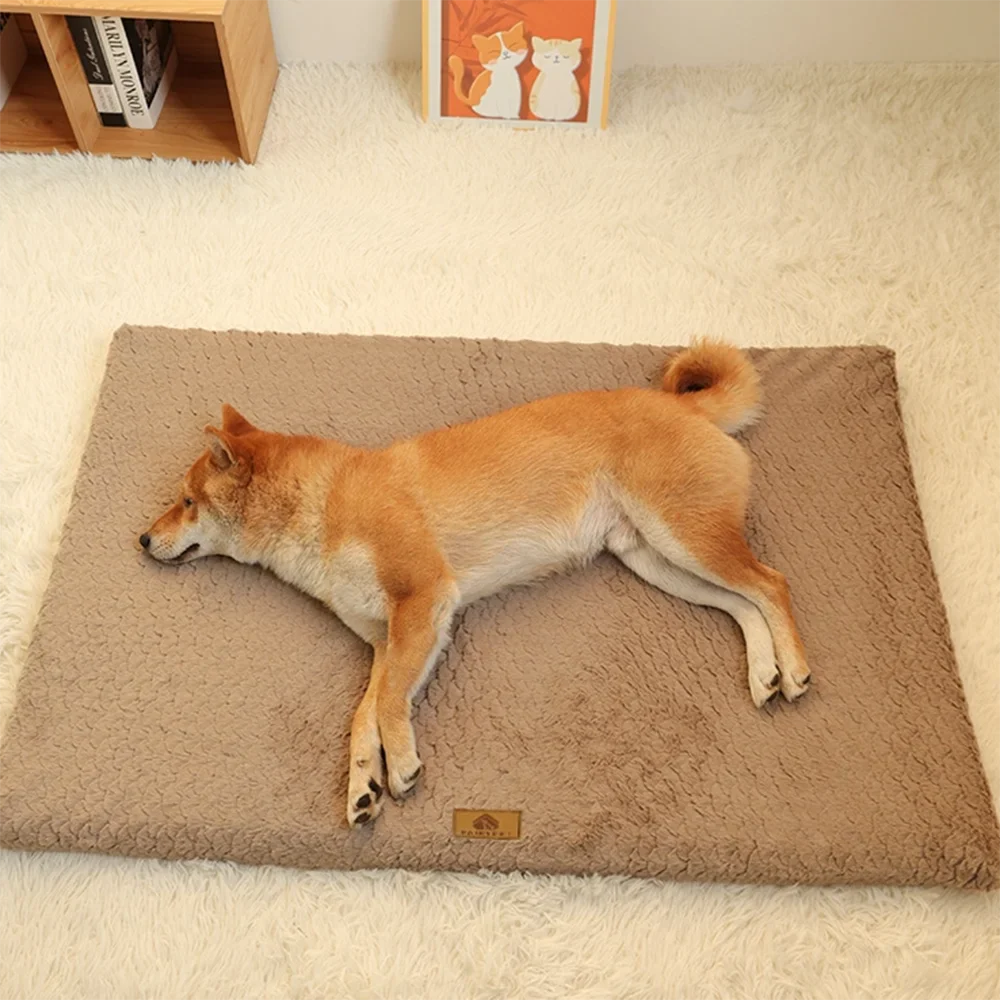 Memory Foam Dog Bed