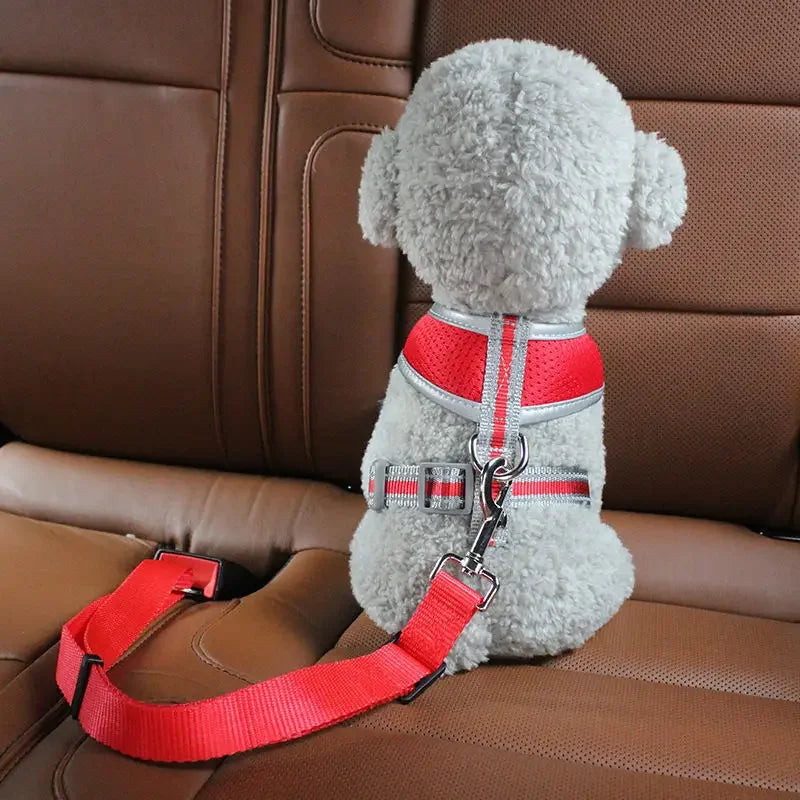 Dog Car Seat Belt Safety
