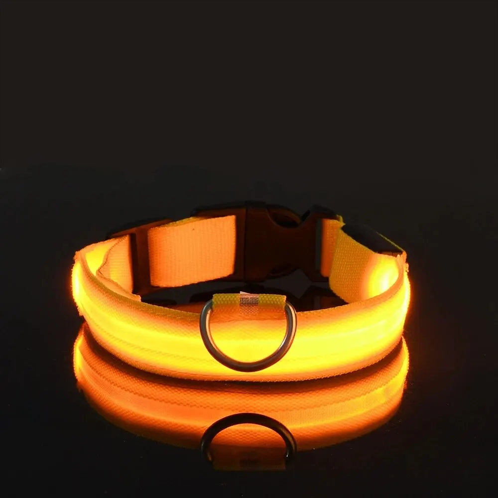 LED Glow-In-The-Dark Dog Leash