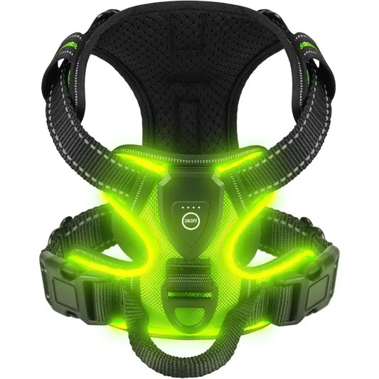 LED Dog Harness – Night Safety Essential