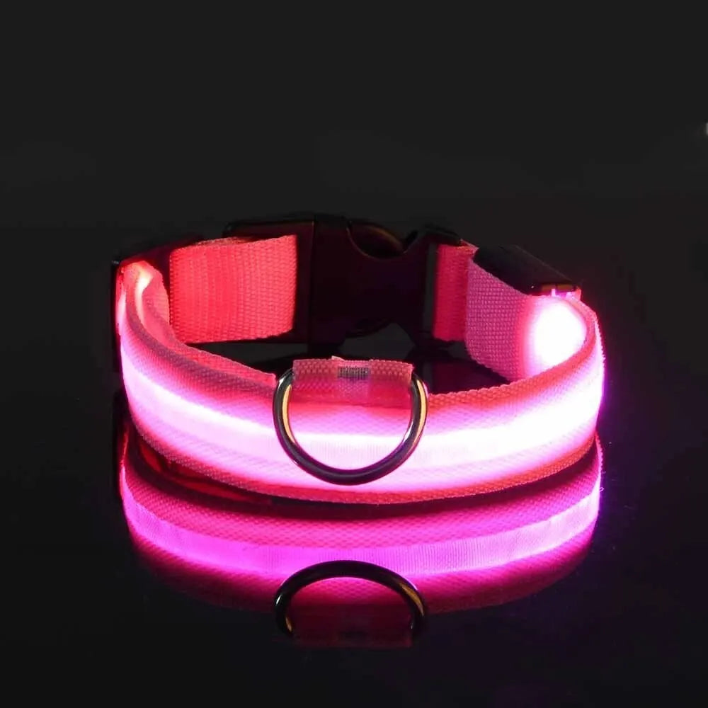 LED Glow-In-The-Dark Dog Leash