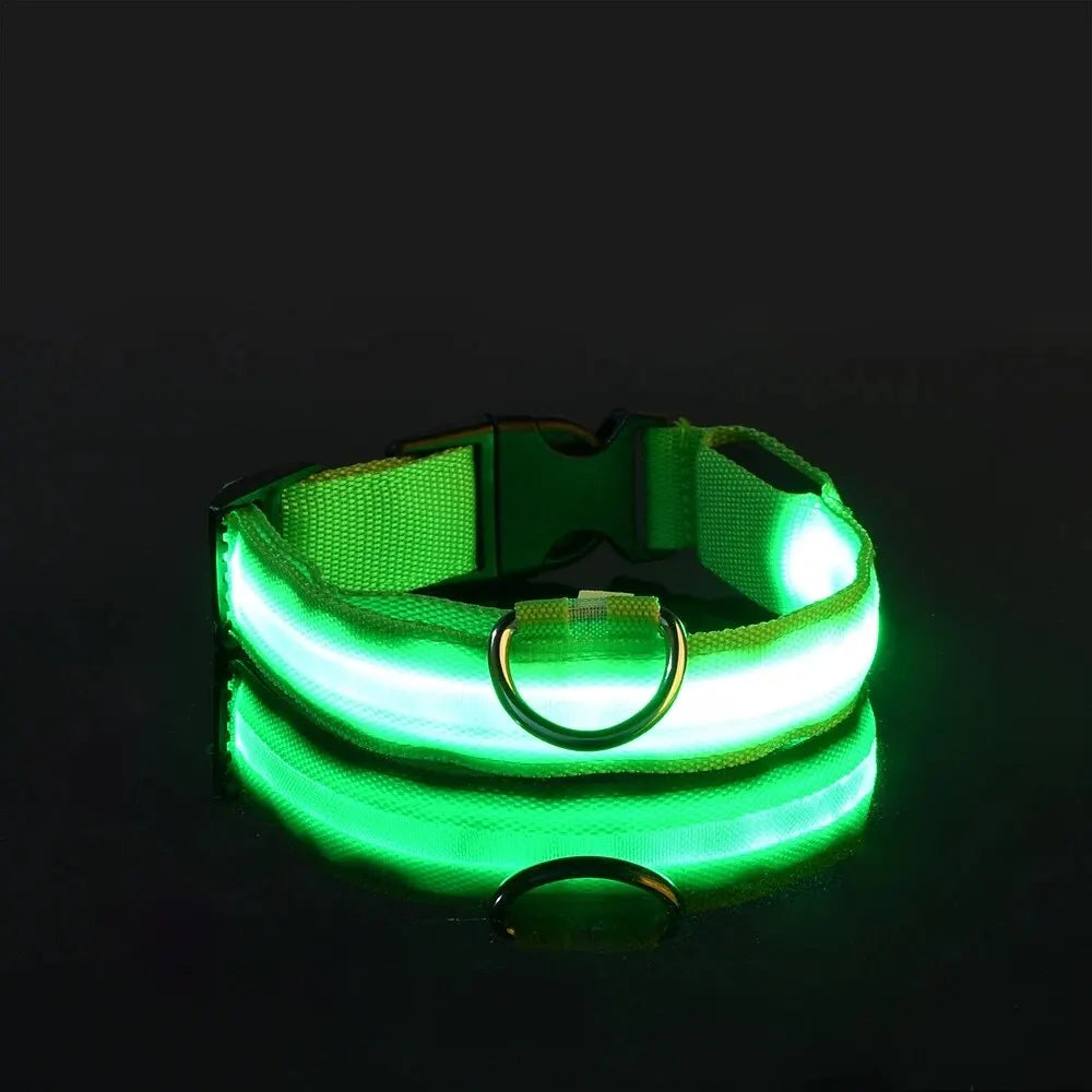 LED Glow-In-The-Dark Dog Leash