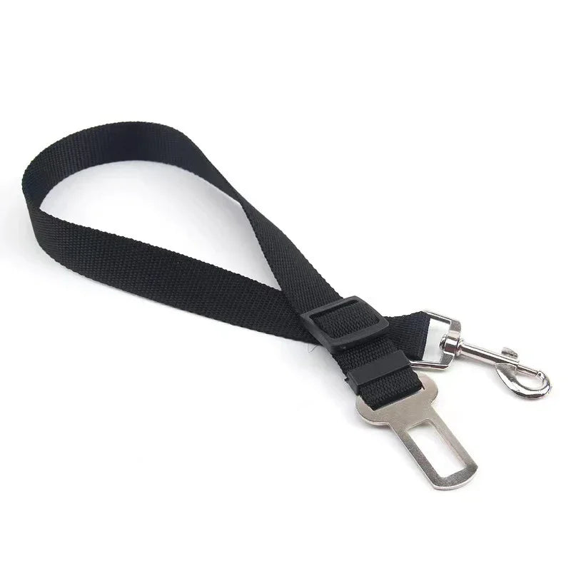 Dog Car Seat Belt Safety