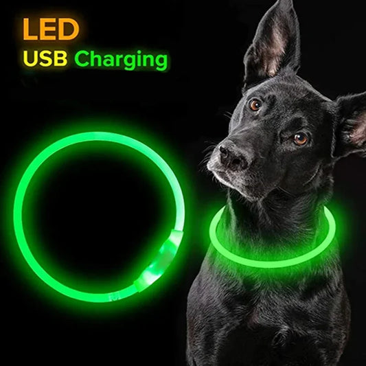 LED Dog Collar, USB Rechargeable