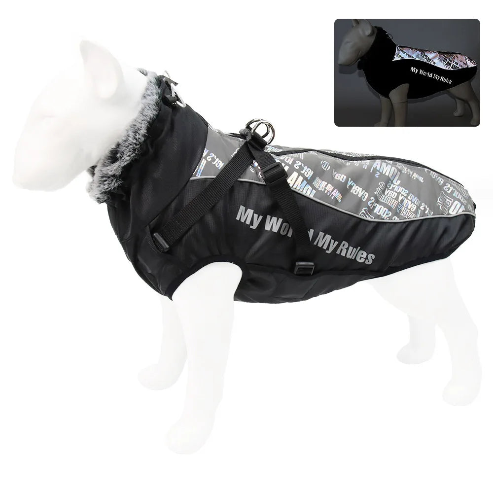 Madden Winter Large Dog Jacket