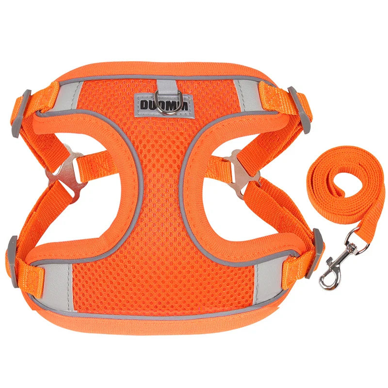 Dog Harness Leash Set