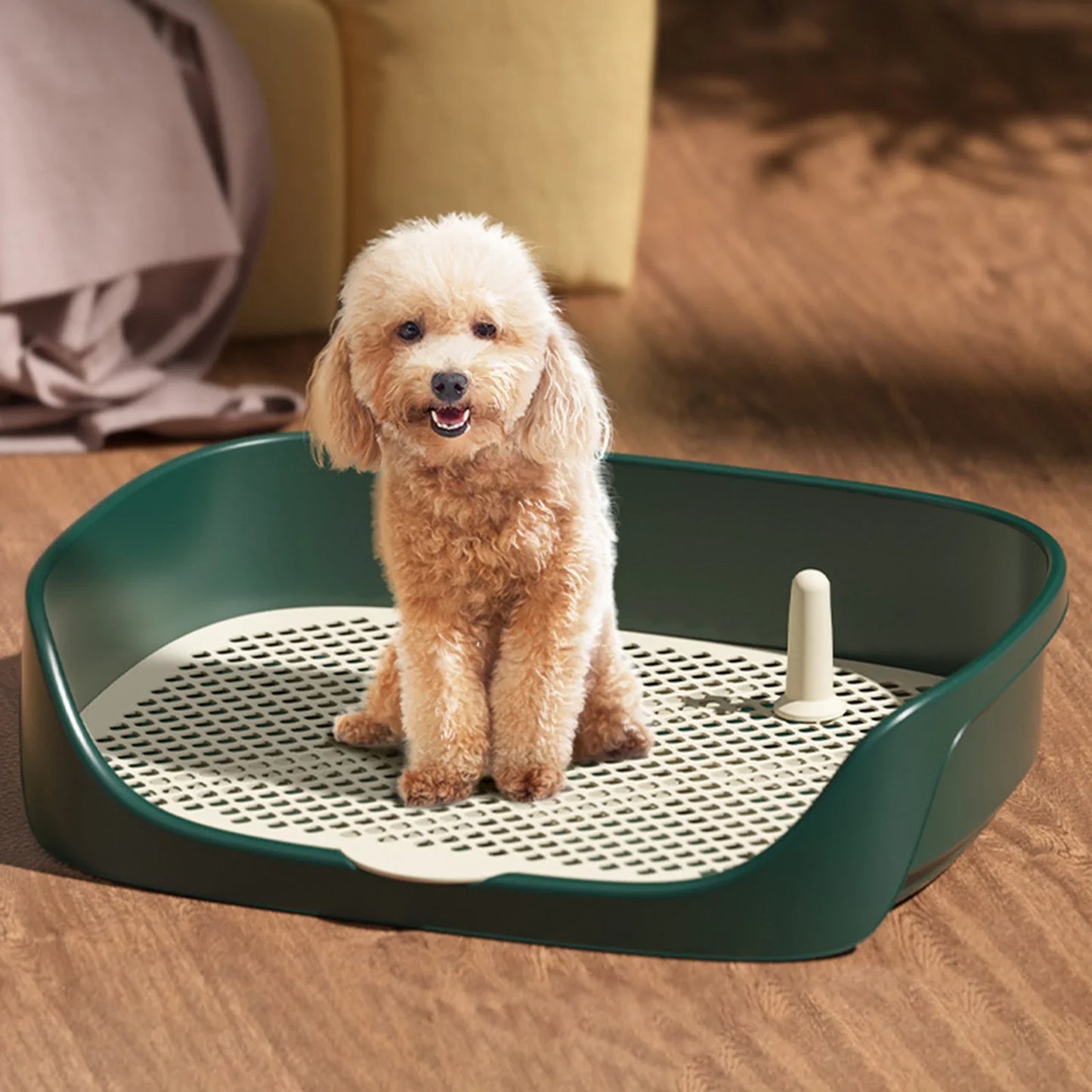 Portable Dog Potty Training Toilet