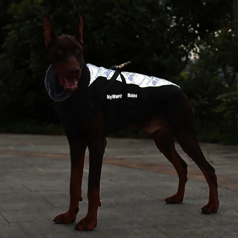 Madden Winter Large Dog Jacket