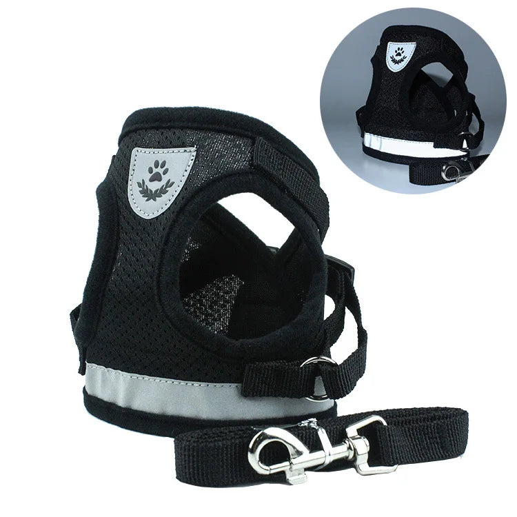 Dog Harness & Leash Set