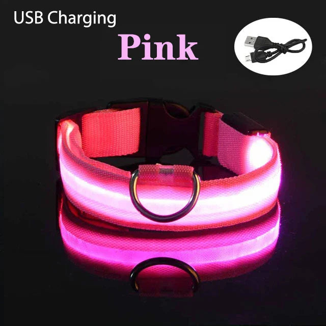 LED Light-Up Dog Collar