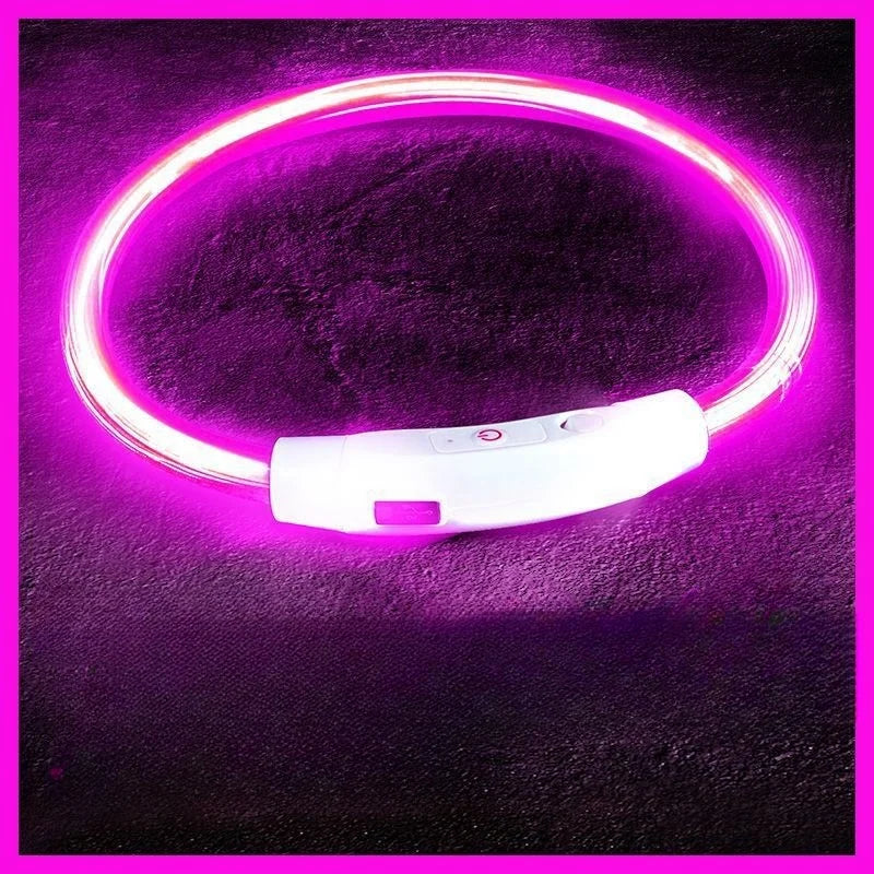 LED Dog Collar USB Rechargeable