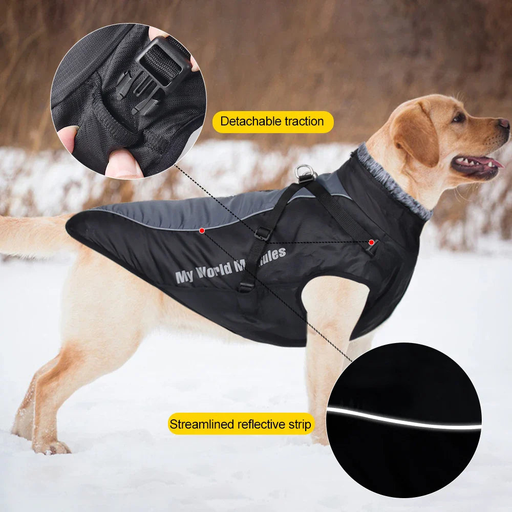Madden Winter Large Dog Jacket