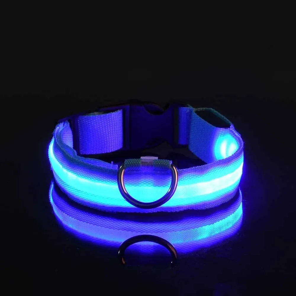 LED Glow-In-The-Dark Dog Leash