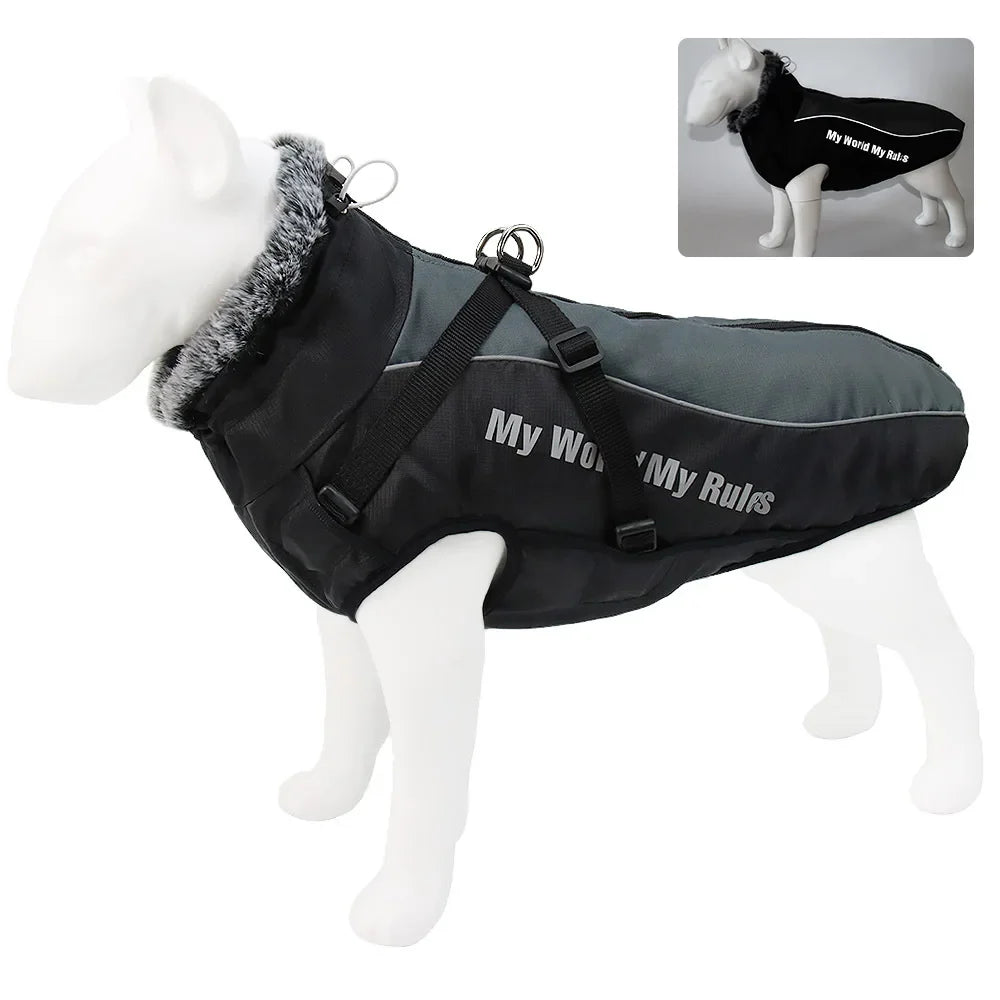 Madden Winter Large Dog Jacket