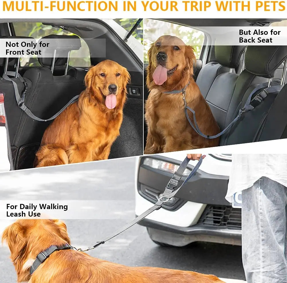 Two-in-One Dog Harness & Seat Belt