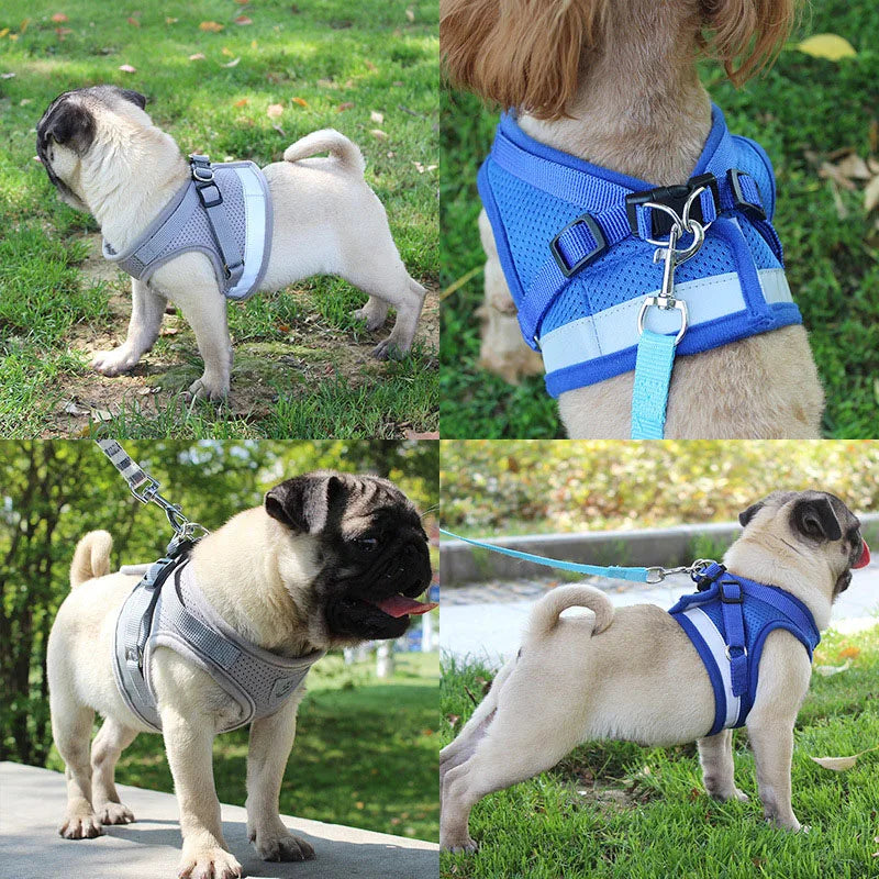 Dog Harness & Leash Set