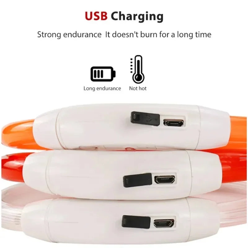 LED Dog Collar, USB Rechargeable