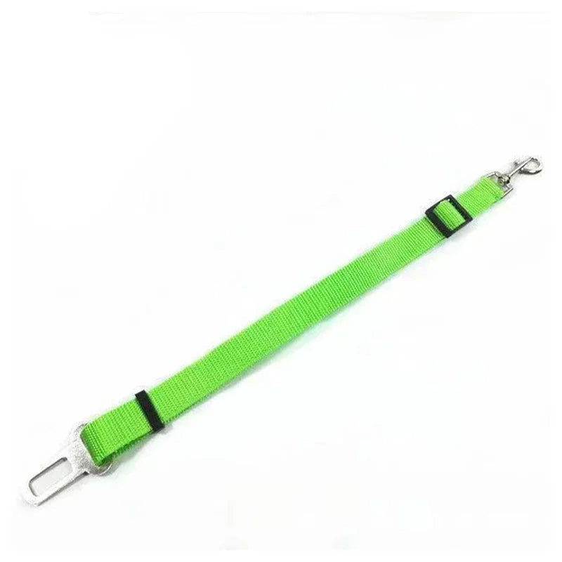 Dog Car Seat Belt Safety