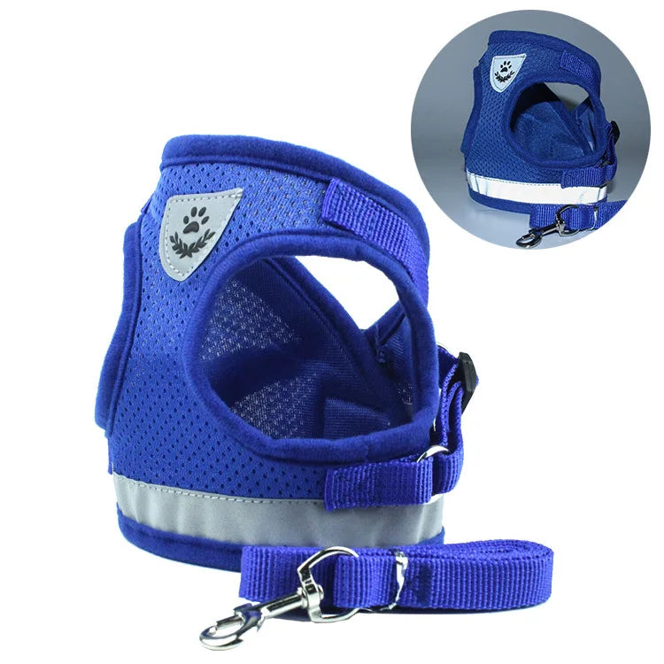 Dog Harness & Leash Set