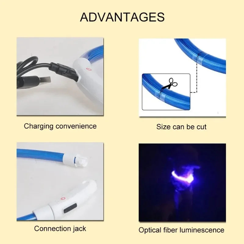 LED Dog Collar, USB Rechargeable