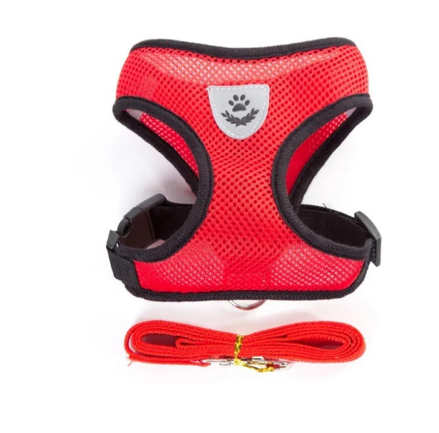 Adjustable Cat & Dog Harness