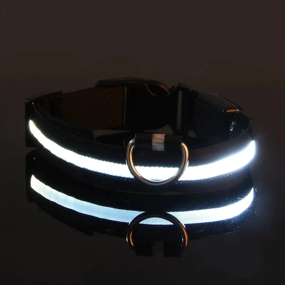 LED Glow-In-The-Dark Dog Leash