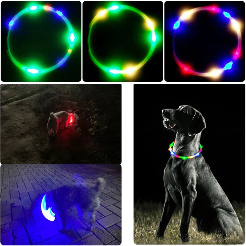 LED Dog Collar, USB Rechargeable