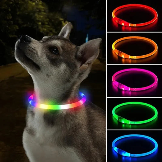 LED Dog Collar, USB Rechargeable