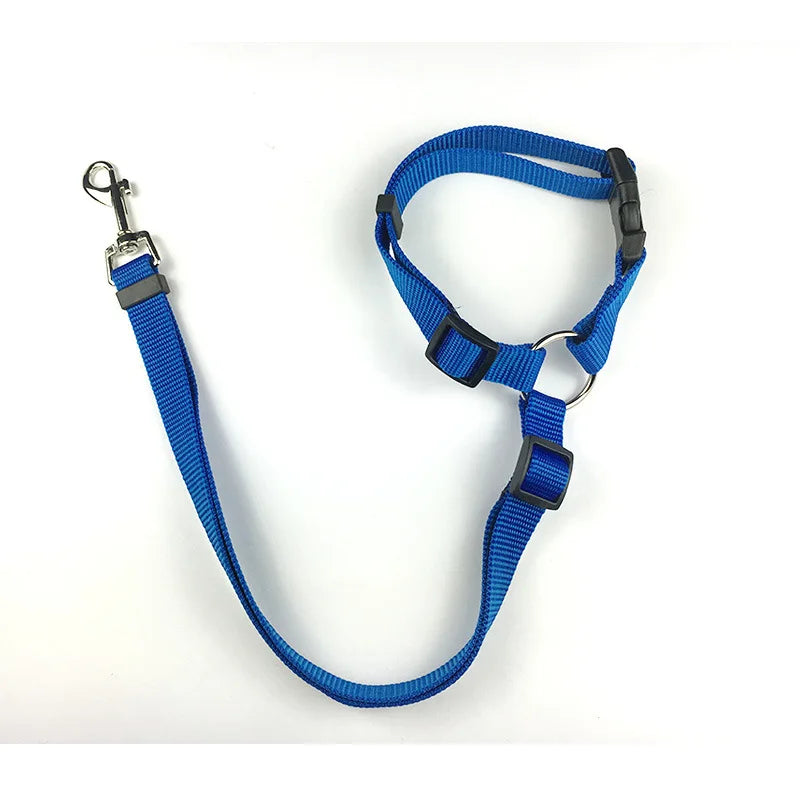 Two-in-One Dog Harness & Seat Belt