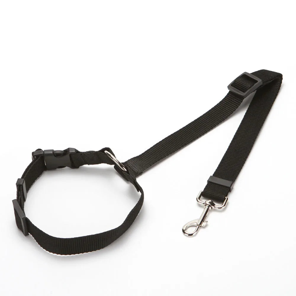 Two-in-One Dog Harness & Seat Belt