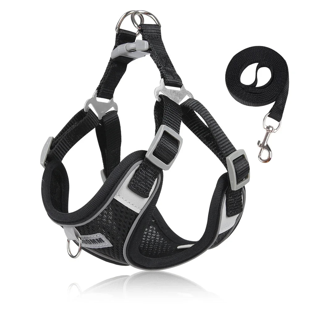 Dog Harness Leash Set