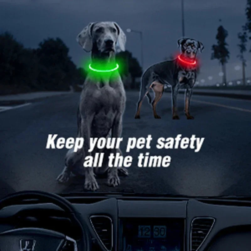 LED Dog Collar, USB Rechargeable