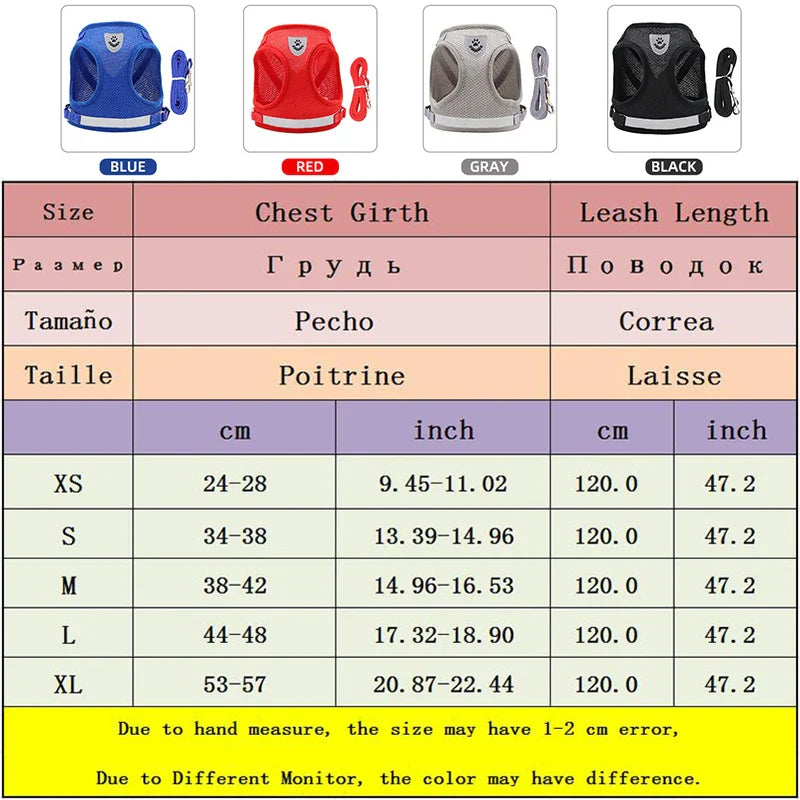 Dog Harness & Leash Set