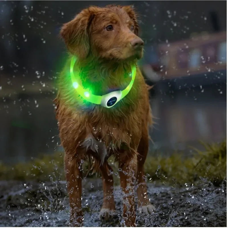 LED Dog Collar