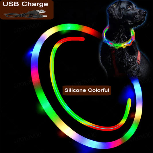 LED Dog Collar, USB Rechargeable