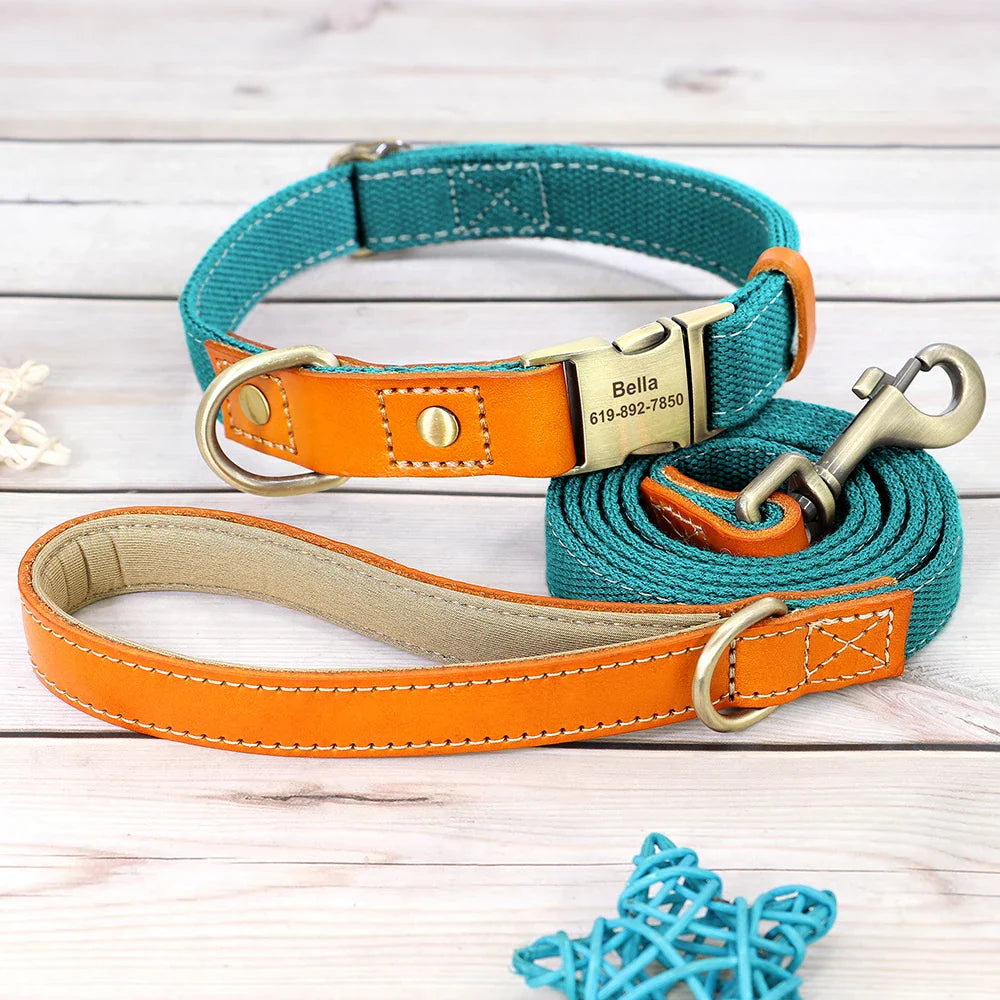 Custom Nylon Dog Collar & Leash