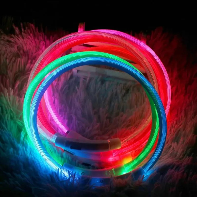 LED Dog Collar, USB Rechargeable