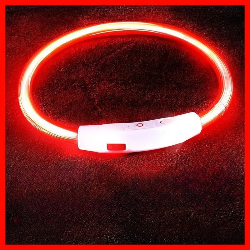 LED Dog Collar USB Rechargeable