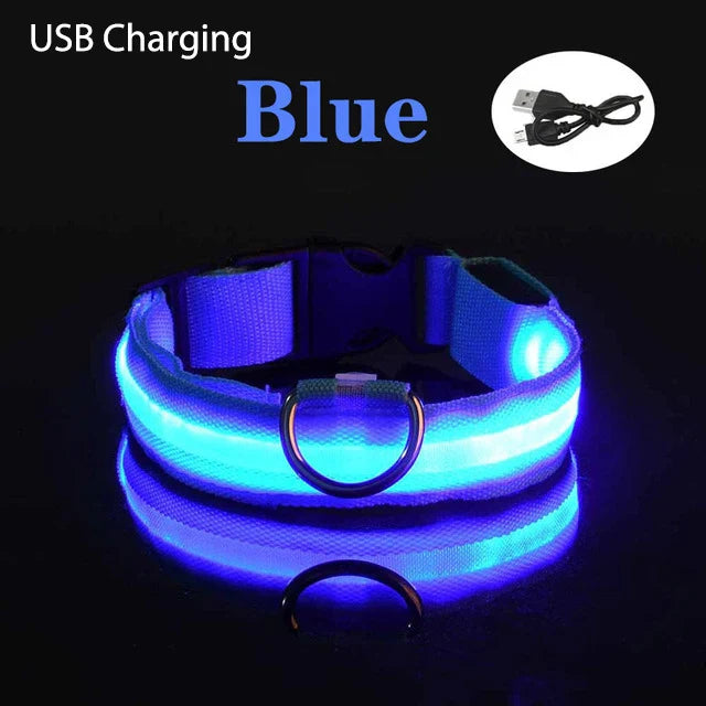 LED Light-Up Dog Collar