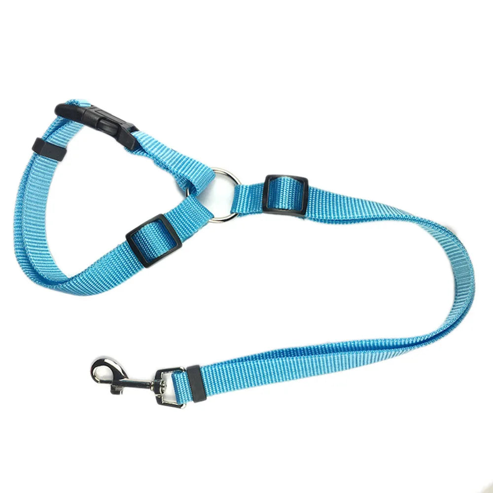 Two-in-One Dog Harness & Seat Belt