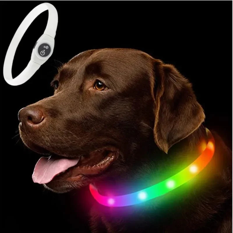 LED Dog Collar