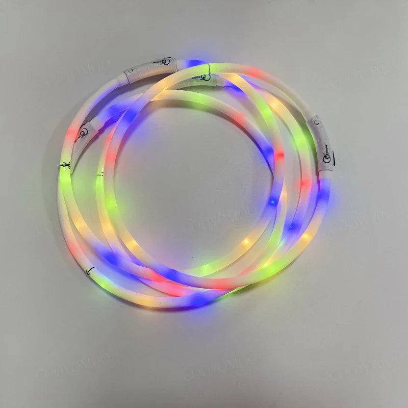 LED Dog Collar, USB Rechargeable
