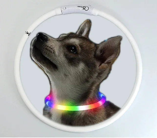 LED Dog Collar, USB Rechargeable