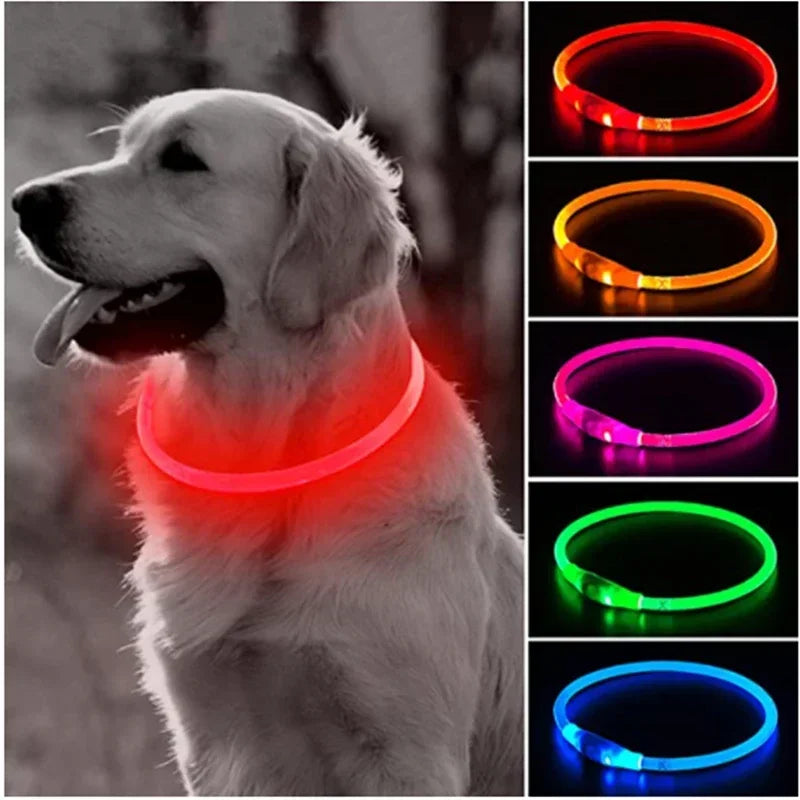 LED Dog Collar, USB Rechargeable
