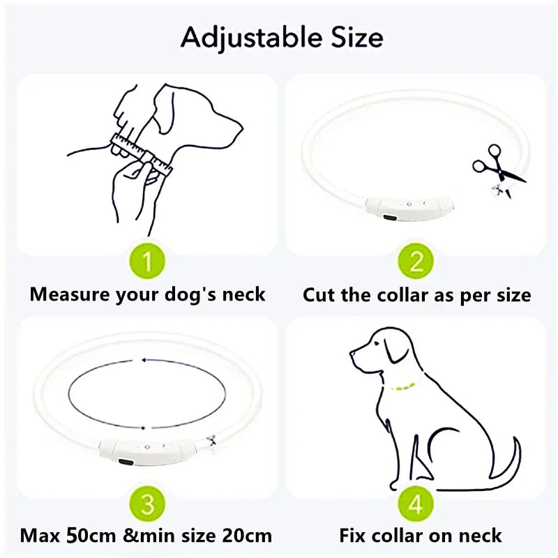 LED Dog Collar, USB Rechargeable
