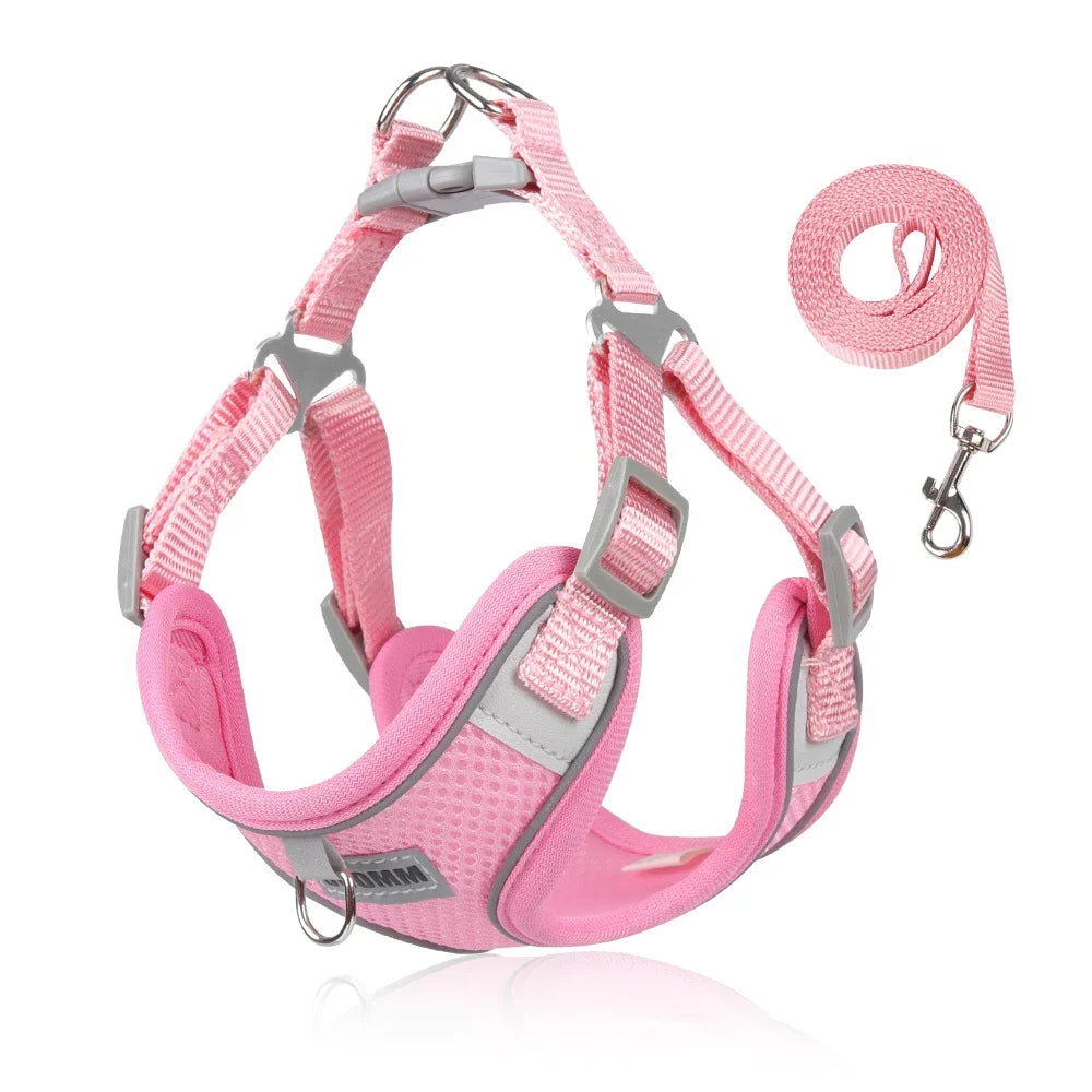 Dog Harness Leash Set