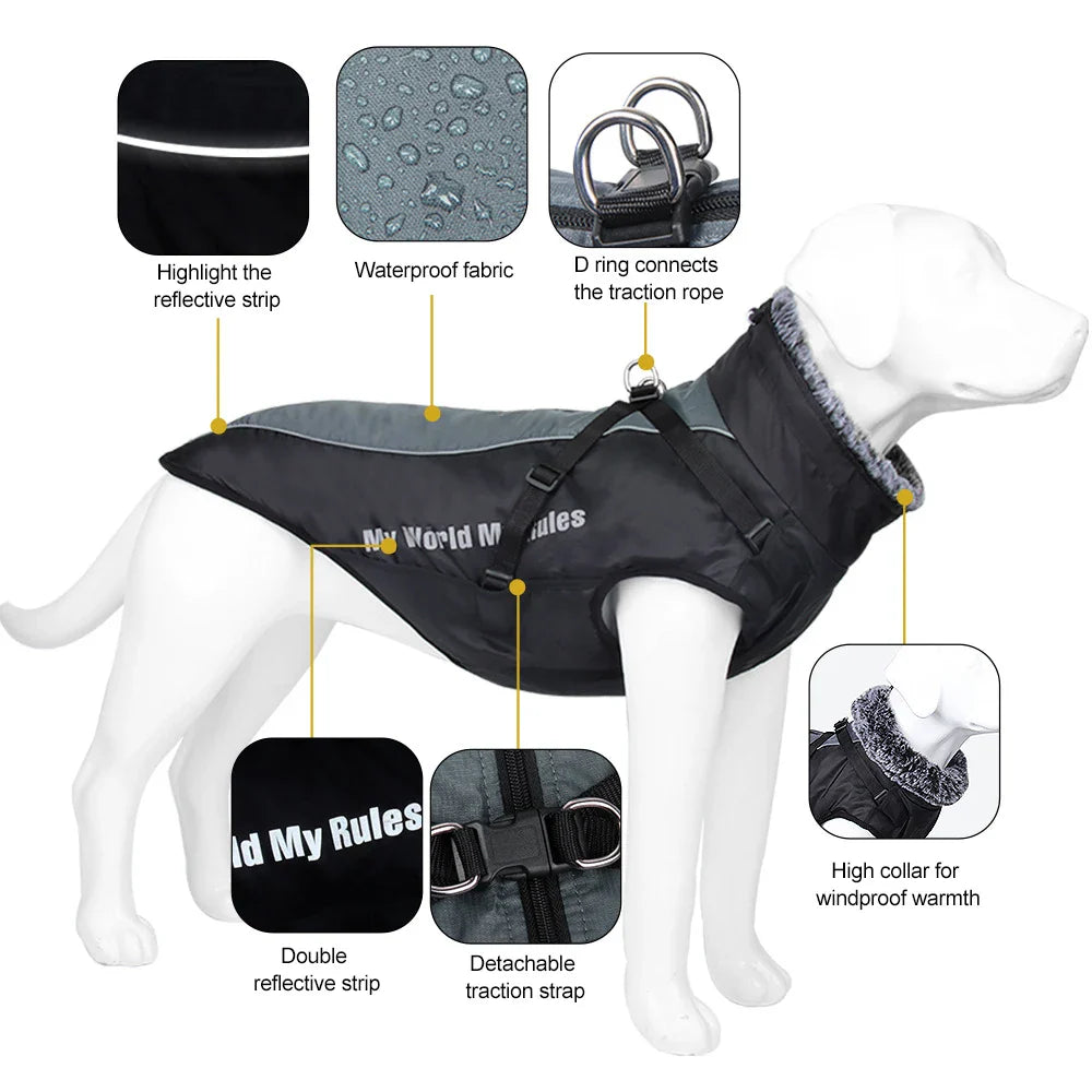 Madden Winter Large Dog Jacket