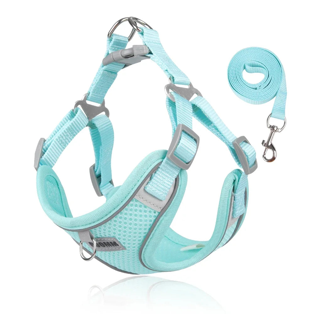 Dog Harness Leash Set